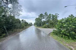 406 W 8th St, Lehigh Acres, FL 33972 - Photo 4