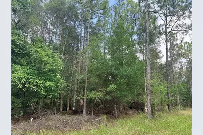 920 Sanctuary Rd W, Naples, FL 34120 - Photo 20