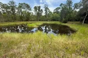 985 Honeybee Dr, Naples, FL 34120 - Photo 28