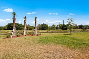 16621 Ash Grove Ln, Alva, FL 33920 - Photo 32
