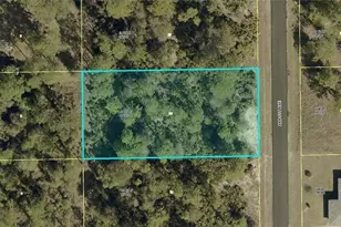 119 Abbott Ave, Lehigh Acres, FL 33936 - Photo 1