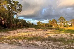 2914 Elaine Ave N, Lehigh Acres, FL 33971 - Photo 1