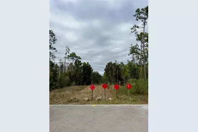 24265 Rocky Rd, Bonita Springs, FL 34135 - Photo 1