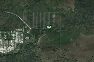 N Ground Access, Everglades City, FL 34139 - Photo 1