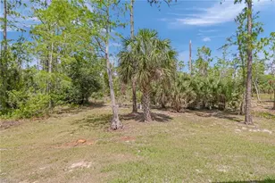 4367 18th St NE, Naples, FL 34120 - Photo 28