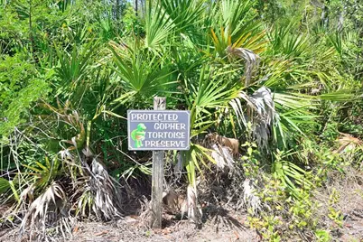 20111 Bravada St #3, Estero, FL 33928 - Photo 10