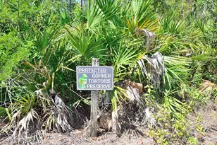 20111 Bravada St, Estero, FL 33928 - Photo 10