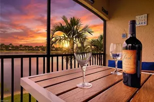 26201 Palace Ln, Bonita Springs, FL 34135 - Photo 22