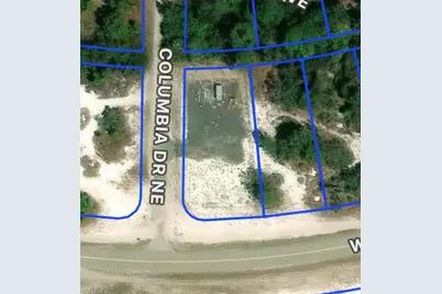 220 Washington Blvd NE, Lake Placid, FL 33852 - Photo 4
