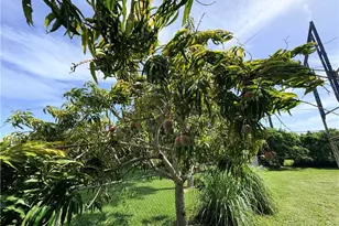 125 4th St, Naples, FL 34113 - Photo 12