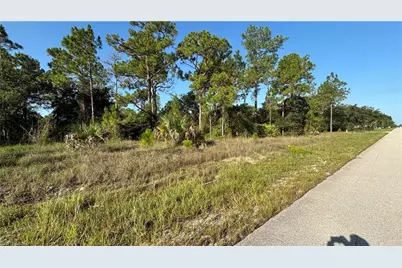 2523 53rd St W, Lehigh Acres, FL 33971 - Photo 2