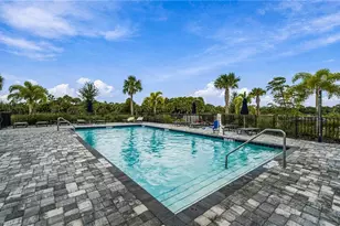 43253 Water Bird Wy, Babcock Ranch, FL 33982 - Photo 48