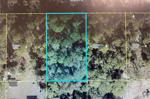 3013 50th St W, Lehigh Acres, FL 33971 - Photo 1