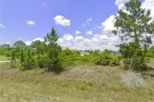 919 Grafton St, Lehigh Acres, FL 33974 - Photo 1