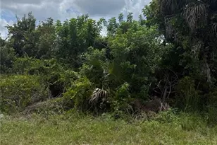3215 63rd St W, Lehigh Acres, FL 33971 - Photo 1