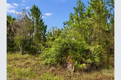 1010 Columbus Ave, Lehigh Acres, FL 33972 - Photo 2