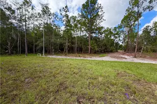2514 56th Ave NE, Naples, FL 34120 - Photo 38