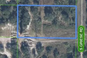 1346 S Griese Rd, Avon Park, FL 33825 - Photo 1