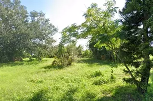 2045 Jaylen Watkins St, Fort Myers, FL 33916 - Photo 2