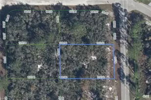 215 Marlin St NW, Lake Placid, FL 33852 - Photo 1
