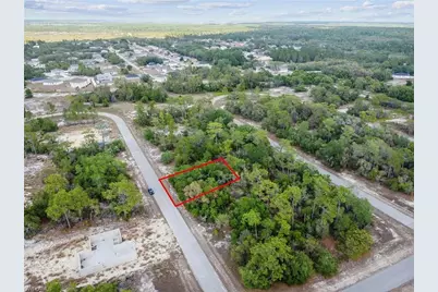 1305 Homosassa Ct, Kissimmee, FL 34759 - Photo 1