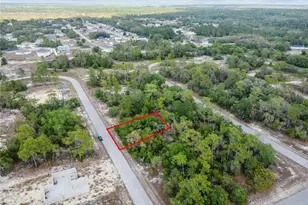 1305 Homosassa Ct, Kissimmee, FL 34759 - Photo 1