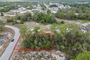 1315 Homosassa Ct Ct, Kissimmee, FL 34759 - Photo 1