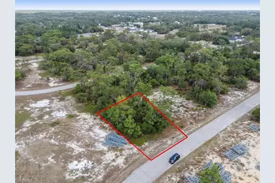 1315 Homosassa Court Ct, Kissimmee, FL 34759 - Photo 2