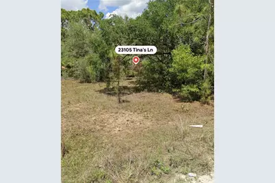 23105 Tinas Ln, Fort Myers, FL 33913 - Photo 2