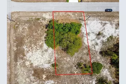 1344 Hillsborough Ct, Kissimmee, FL 34759 - Photo 2