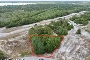 1329 Homosassa Ct, Kissimmee, FL 34759 - Photo 1