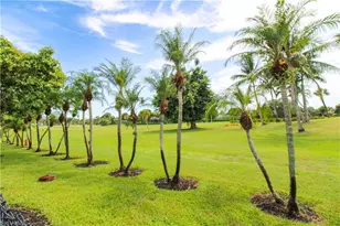 190 Pebble Beach Blvd, Naples, FL 34113 - Photo 50