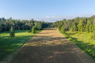 6301 E Co Rd 316, Citra, FL 32113 - Photo 1