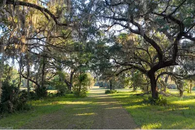 6301 E County Road 316, Citra, FL 32113 - Photo 10