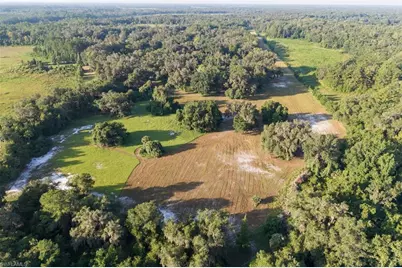6301 E County Road 316, Citra, FL 32113 - Photo 6
