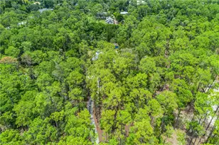6061 Golden Oaks Ln, Naples, FL 34119 - Photo 38