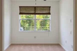 30324 Elderwood Dr, Wesley Chapel, FL 33543 - Photo 10