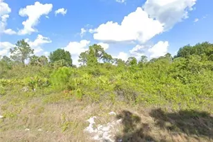 551 Barranger Ave S, Lehigh Acres, FL 33974 - Photo 1