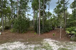 3740 45th Ave NE, Naples, FL 34120 - Photo 16