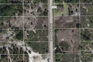 1119 Irving Ave, Lehigh Acres, FL 33972 - Photo 1