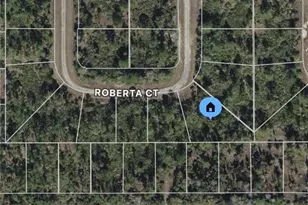 325 Roberta Ct, Lehigh Acres, FL 33972 - Photo 1