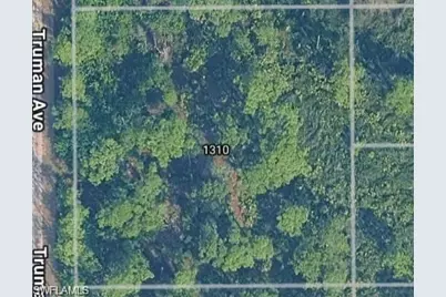 1310 Truman Ave, Lehigh Acres, FL 33972 - Photo 1