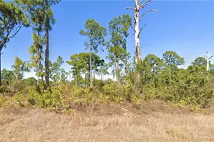 1103 Garibaldi St E, Lehigh Acres, FL 33974 - Photo 1