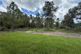 4222 18th Ave NE, Naples, FL 34120 - Photo 32