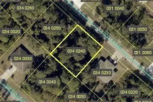 4837/4839 30th St SW, Lehigh Acres, FL 33973 - Photo 1