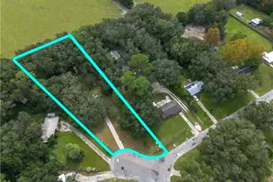 16564 NE 25 Ln, Williston, FL 32696 - Photo 48