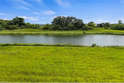 22710 Yellow Button Ln, Alva, FL 33920 - Photo 1