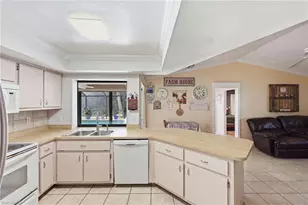338 SE 46th Ln, Cape Coral, FL 33904 - Photo 10