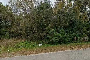 2125 Leda Ave S, Lehigh Acres, FL 33973 - Photo 1