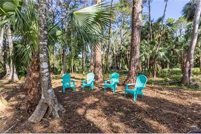 3511 17th Ave SW, Naples, FL 34117 - Photo 30